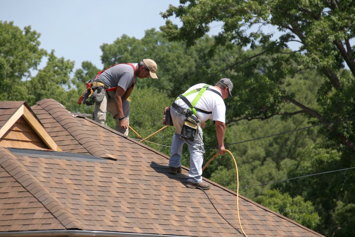 Two roofers in harnesses nailing new brown shingles on a pitched roof among oak trees